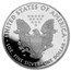 2017-W Proof American Silver Eagle PF-70 NGC (FDI)