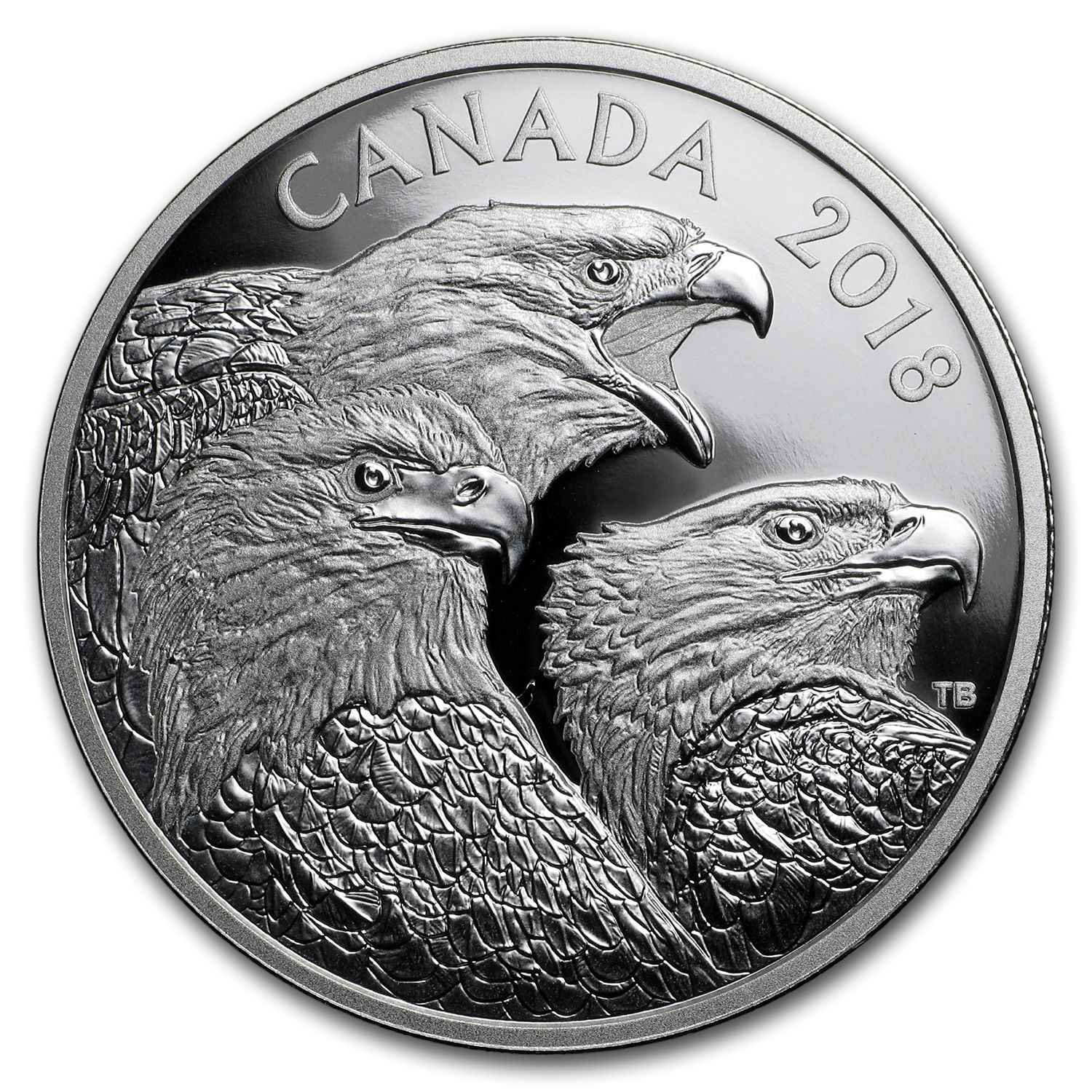 2018 Bald Eagles Magnificent $15 1OZ Pure Silver Proof Coin Canada Wildlife 