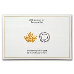 2018 Canada Specimen Set: Burrowing Owl