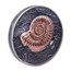 2018 Mongolia 1 kilo Silver 20,000 Togrog Ammonite Antique Finish