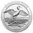 2018-P 5 oz Silver ATB Cumberland Island SP-70 NGC(ER/FR)