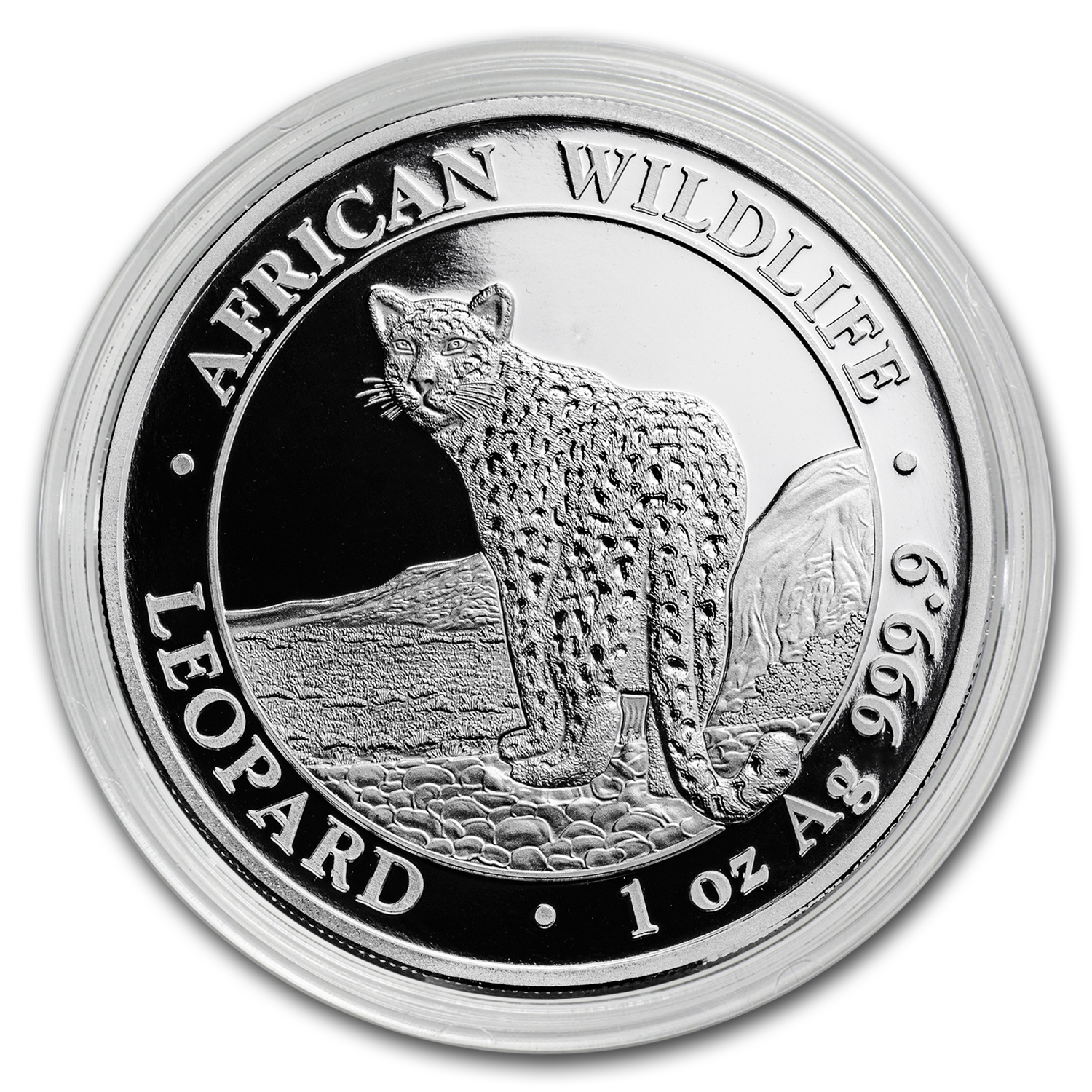 Buy 2018 Somalia 1 oz Silver African Wildlife Leopard BU | APMEX
