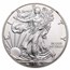 2018-W Burnished Silver Eagle MS-70 NGC (ER/FR)