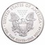 2018-W Burnished Silver Eagle MS-70 NGC (ER/FR)