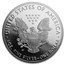 2018-W Proof American Silver Eagle PR-70 PCGS (First Day)