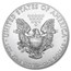 2019 1 oz American Silver Eagle (MintDirect® Single)