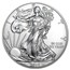 2019 1 oz Silver Eagles (20-Coin MintDirect® Premier Tube)