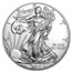 2019 100-Coin American Silver Eagle MintDirect® Mini Monster Box