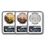 2019 (1794) Flowing Hair Dollar Restrike 3 Coin Set PF-70 NGC