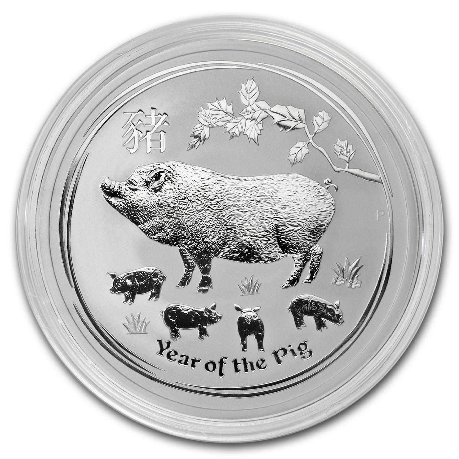 2019 Australia 1 kilo Silver Lunar Pig BU | eBay