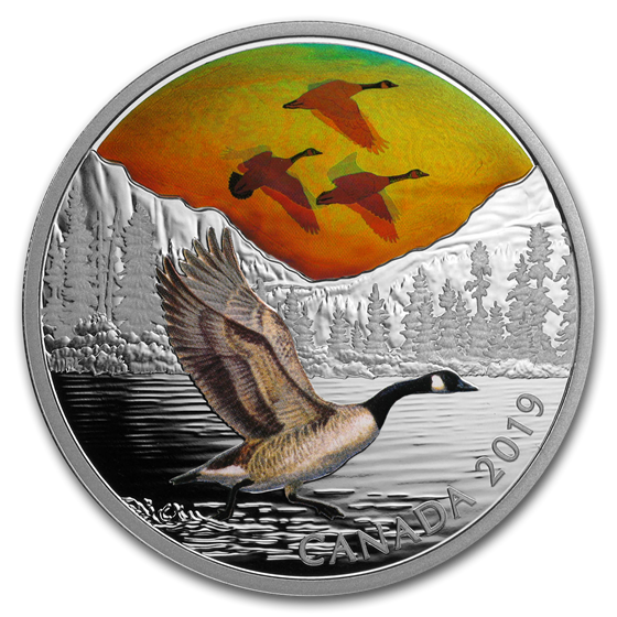 2019 Canada 2 oz Ag $30 Majestic Birds in Motion: Canada Geese 2019 Canada 2 oz Ag $30 Majestic Birds in Motion: Canada Geese