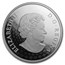 2019 Canada 2 oz Ag $30 Peter McKinnon Photo Series: Mount Rundle