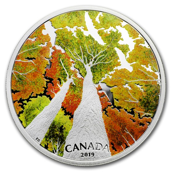 2019 Canada 2 oz Silver $30 Canadian Canopy: The Canada Goose 2019 Canada 2 oz Silver $30 Canadian Canopy: The Canada Goose