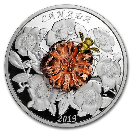 2019 Canada 5 oz Silver $50 The Bumble Bee and the Bloom 2019 Canada 5 oz Silver $50 The Bumble Bee and the Bloom
