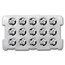 2019 China 30 gram Silver Panda BU (In Capsule)