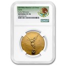 2019 Mexico 1/2 oz Reverse Proof Gold Libertad PF-70 NGC (ER) 2019 Mexico 1/2 oz Reverse Proof Gold Libertad PF-70 NGC (ER)