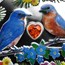 2019 Niue 1 oz Silver $2 Love is Precious Bluebirds