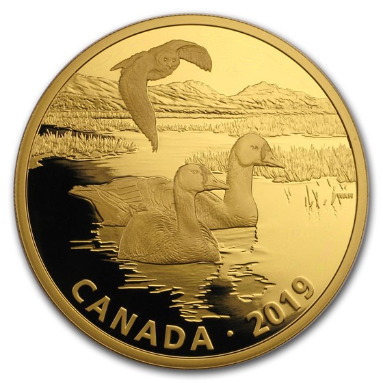 2019 RCM 2 oz Silver $30 Predator and Prey: Snowy Owl & Geese 2019 RCM 2 oz Silver $30 Predator and Prey: Snowy Owl & Geese