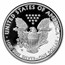 2019-S 1 oz Proof American Silver Eagle (Congratulations Set)