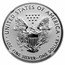 2019-S Enhanced Reverse Proof Silver Eagle PF-70 NGC (ER/FR)