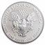 2019-S Enhanced Reverse Proof Silver Eagle PR-69 PCGS (FDI)