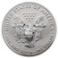 2019-S Enhanced Reverse Proof Silver Eagle PR-70 PCGS (FDI)
