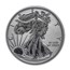 2019-S Enhanced Reverse Proof Silver Eagle PR-70 PCGS