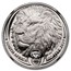 2019 South Africa 1 oz Platinum Big Five Lion PF-70 NGC (FDI)