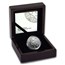 2019 South Africa 1 oz Platinum Big Five Lion Proof