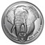 2019 South Africa 1 oz Silver Big Five Elephant BU