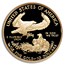 2019-W 1/4 oz Proof American Gold Eagle PF-70 UCAM NGC