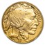 2019-W 1 oz Proof Gold Buffalo PF-70 UCAM NGC (FDI Castle Label)