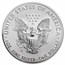 2019-W 1 oz Silver Eagle Enhanced Reverse Proof PR-70 PCGS (FS)