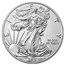 2019-W Burnished American Silver Eagle SP-70 PCGS (FDI)