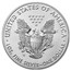 2019-W Burnished American Silver Eagle SP-70 PCGS (FDI)