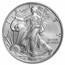 2019-W Burnished American Silver Eagle SP-70 PCGS