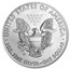 2019-W Burnished American Silver Eagle (w/Box & COA)