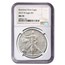 2019-W Burnished Silver Eagle MS-70 NGC