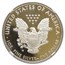 2019-W Proof American Silver Eagle PF-70 NGC