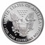 2019-W Proof American Silver Eagle PR-69 PCGS