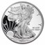 2019-W Proof American Silver Eagle PR-69 PCGS