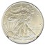 2020 American Silver Eagle MS-69 NGC (ER, Black Core)