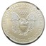 2020 American Silver Eagle MS-69 NGC (ER, Black Core)