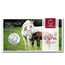 2020 Austria Silver €5 Horse