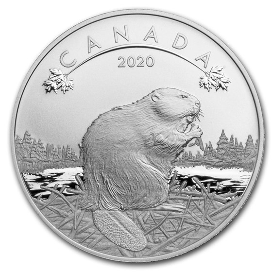 2020 Canada 1/2 oz Silver $10 O'Canada! Beaver 2020 Canada 1/2 oz Silver $10 O'Canada! Beaver