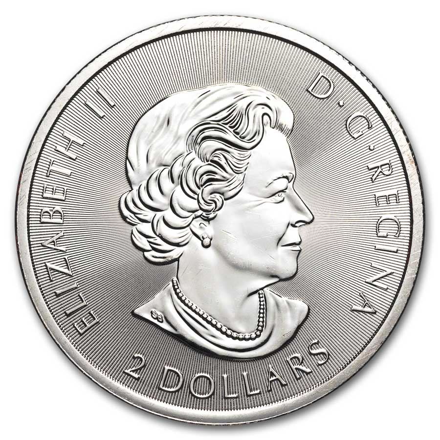 Buy 2020 Canadian 1/2 oz Silver Polar Bear BU | APMEX
