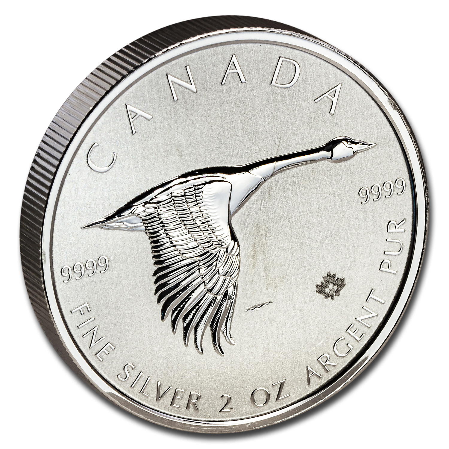 2020 Canada 2 oz $10 Silver Canadian Goose (Abrasions) | eBay