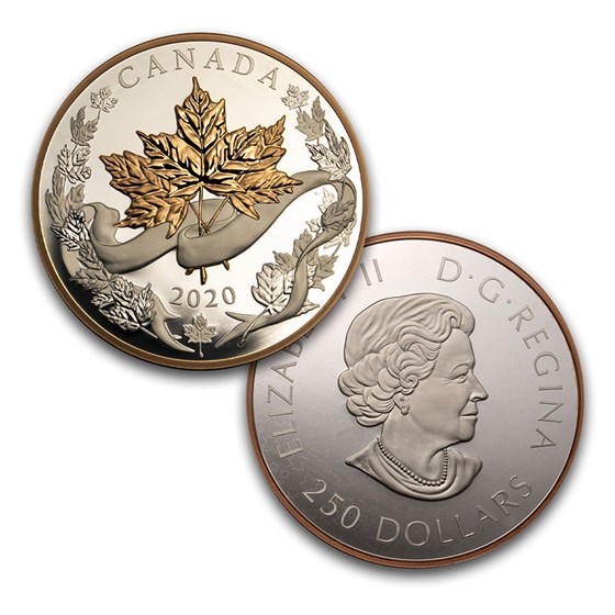 Buy 2020 Canada 5-Coin Silver The Canadian Maple Masters Collection | APMEX