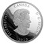 2020 Canada 5 oz Silver $50 Courageous Bald Eagle