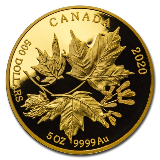 Buy 2020 Canada $500 5 oz Proof Gold Splendid Maple Leaves | APMEX